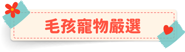 毛孩寵物嚴選