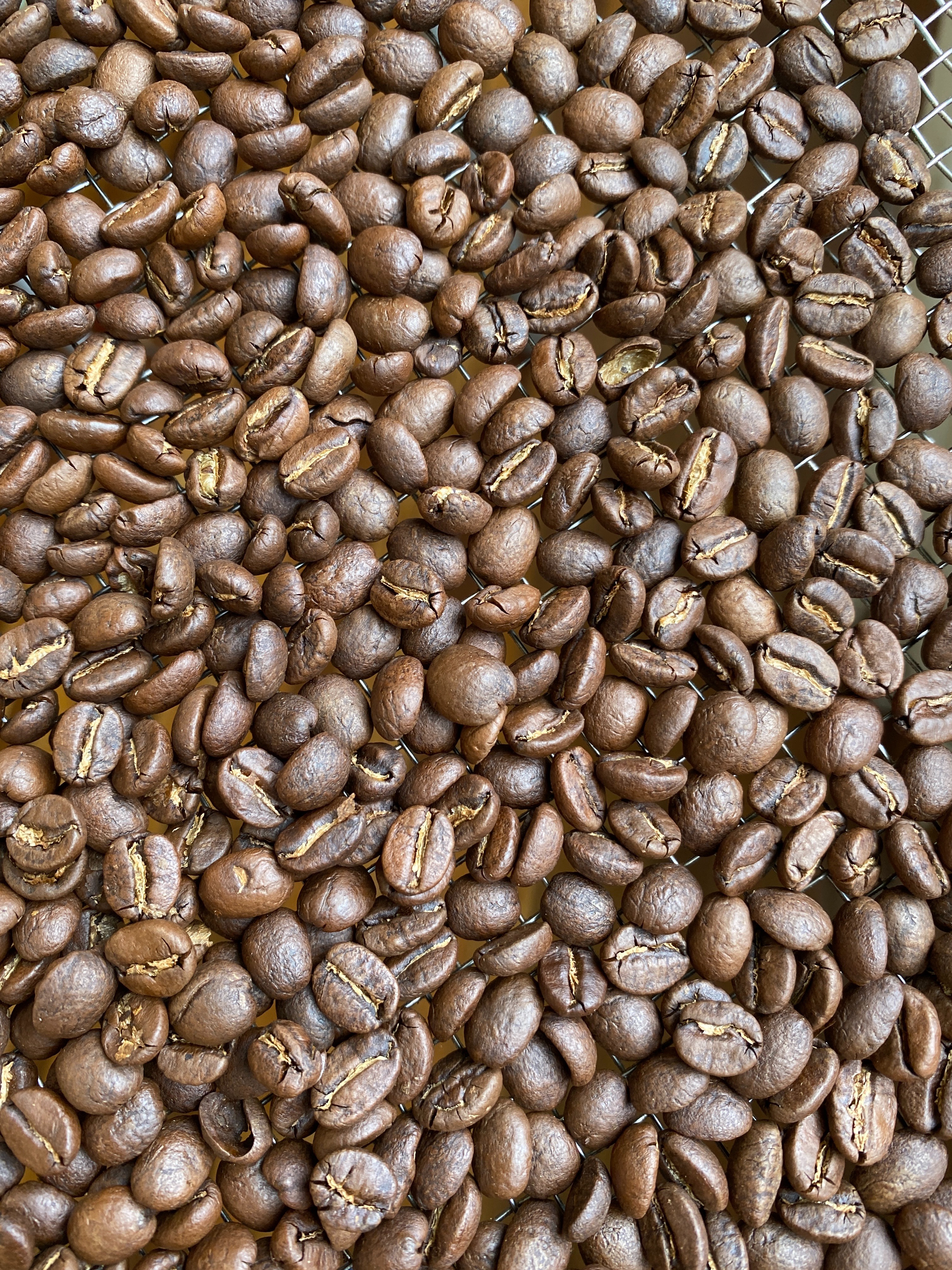 維也納烘焙 熟豆 - 120g