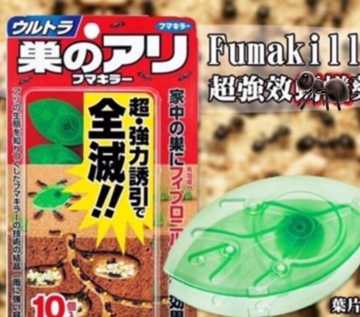 🇯🇵大推款😍夏日必備！杜絕🐜