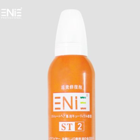 【雅如詩ENIE】100%原廠公司貨 ST-2修護造型滋養泡 （350ml） 修護造型 修護毛髮 自然造型