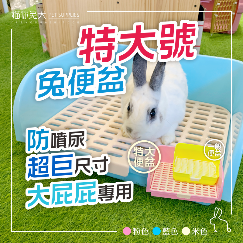兔子超大便盆 兔子便盆 兔便盆 兔子尿盆 兔子廁所 超大便盆 兔兔便盆 四角便盆 兔尿盆 兔用便盆