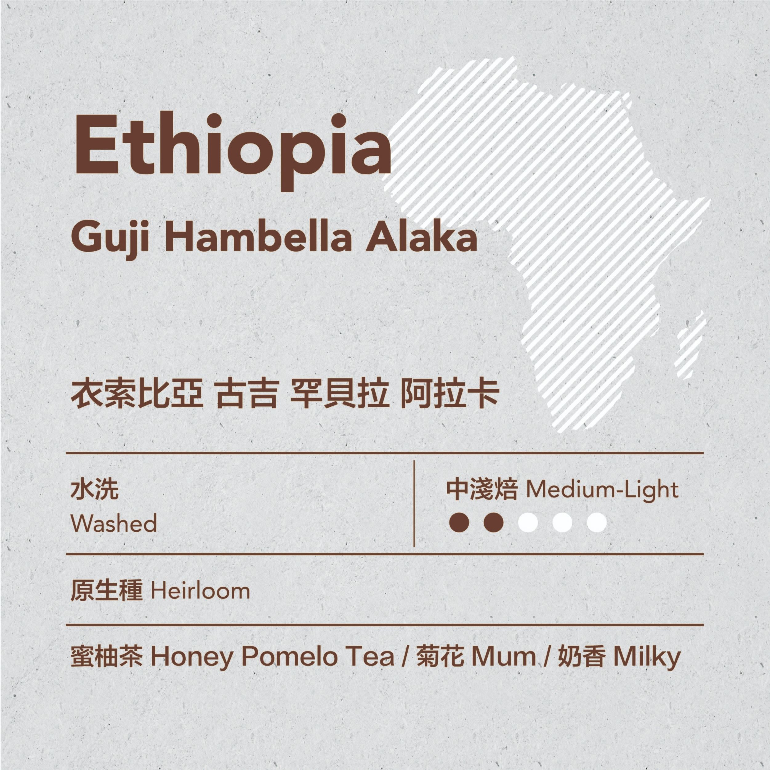 ✨有奶香帶菊花茶？✨衣索比亞 古吉 罕貝拉 阿拉卡 水洗 中淺焙
