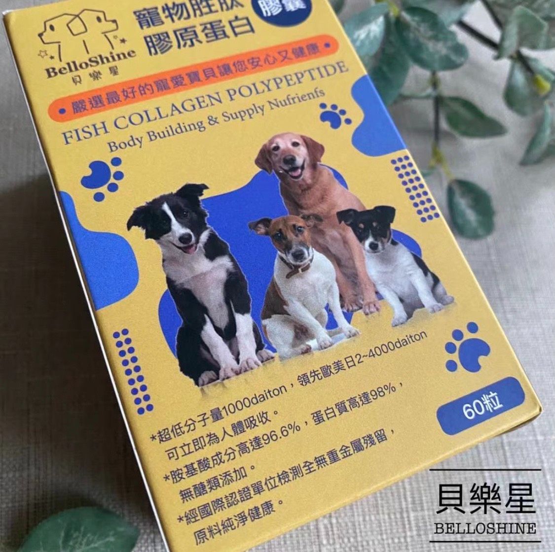 【貝樂星寵物】寵物胜肽膠原蛋白膠囊-60粒裝