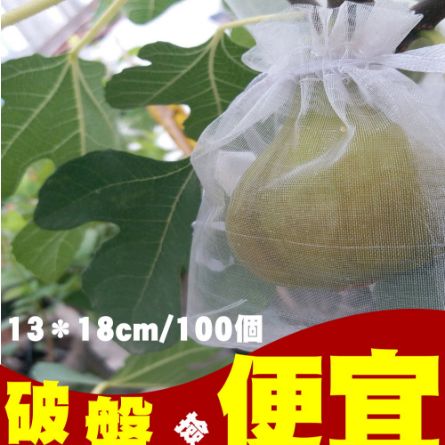 無花果套袋13＊18公分雙拉繩水果套袋