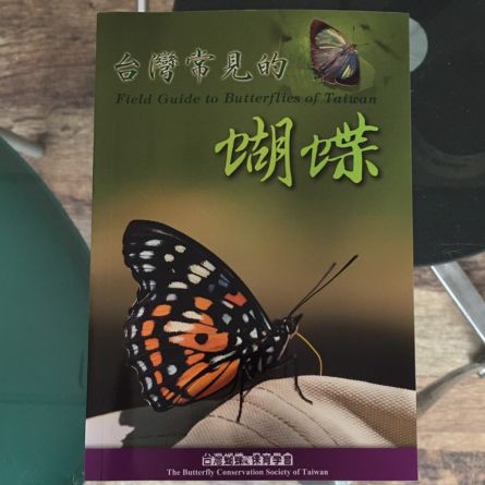 台灣常見的蝴蝶