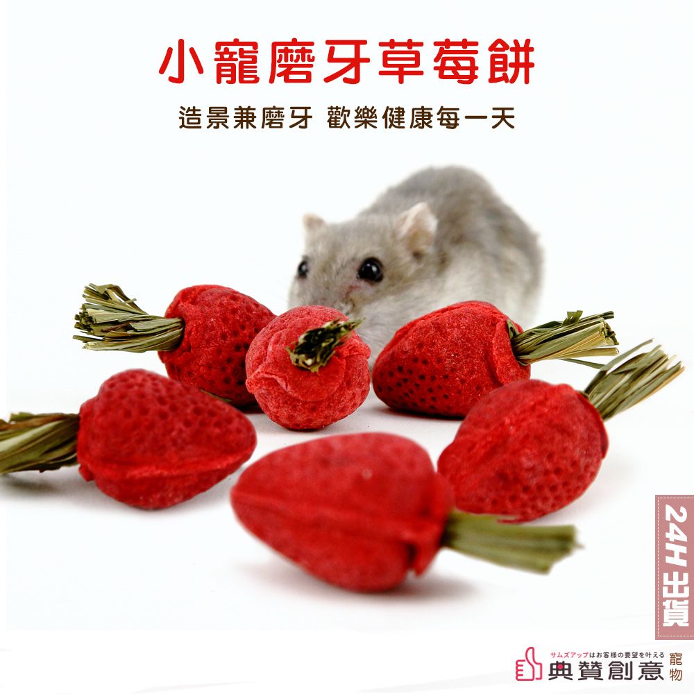 小寵磨牙草莓餅 磨牙餅 造景 小動物零食 提摩西草 倉鼠黃金鼠兔子天竺鼠龍貓 迷你草莓 倉鼠用品