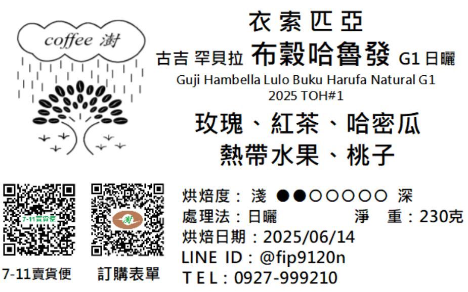 古吉 罕貝拉 布穀哈魯發 日曬 G1