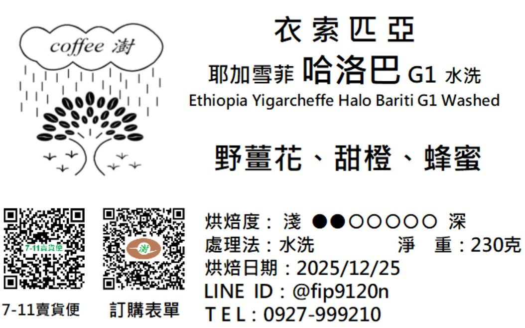 耶加雪菲 哈洛巴 G1 水洗