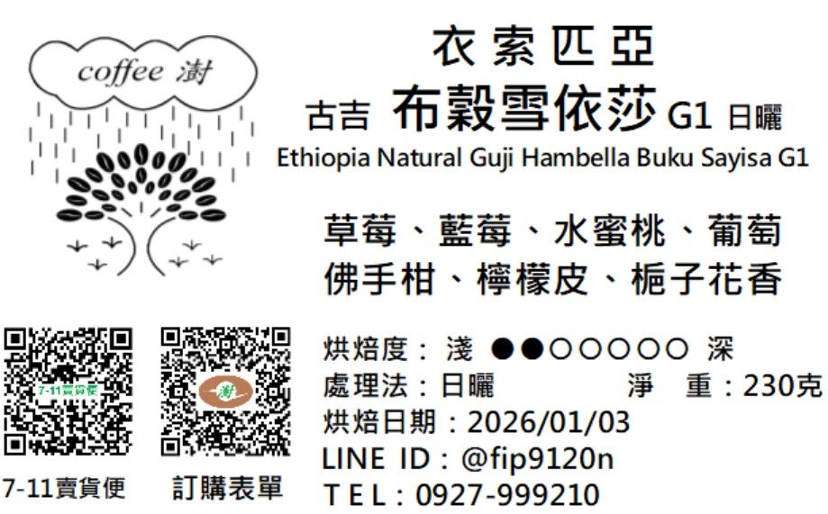 古吉 罕貝拉 布穀雪依莎 G1 日曬