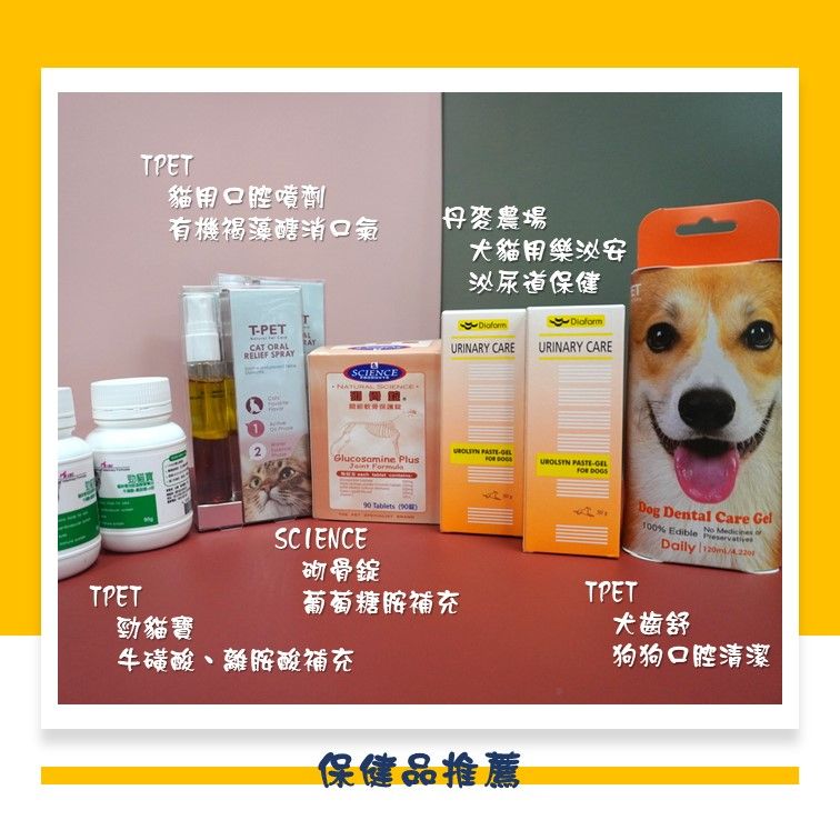 寵物推薦營養保健品