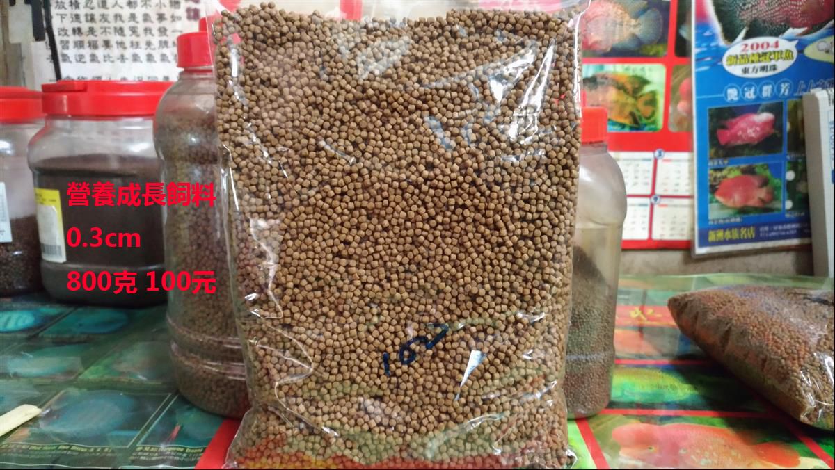 觀賞魚飼料 營養成長飼料0.3公分 （上浮性）