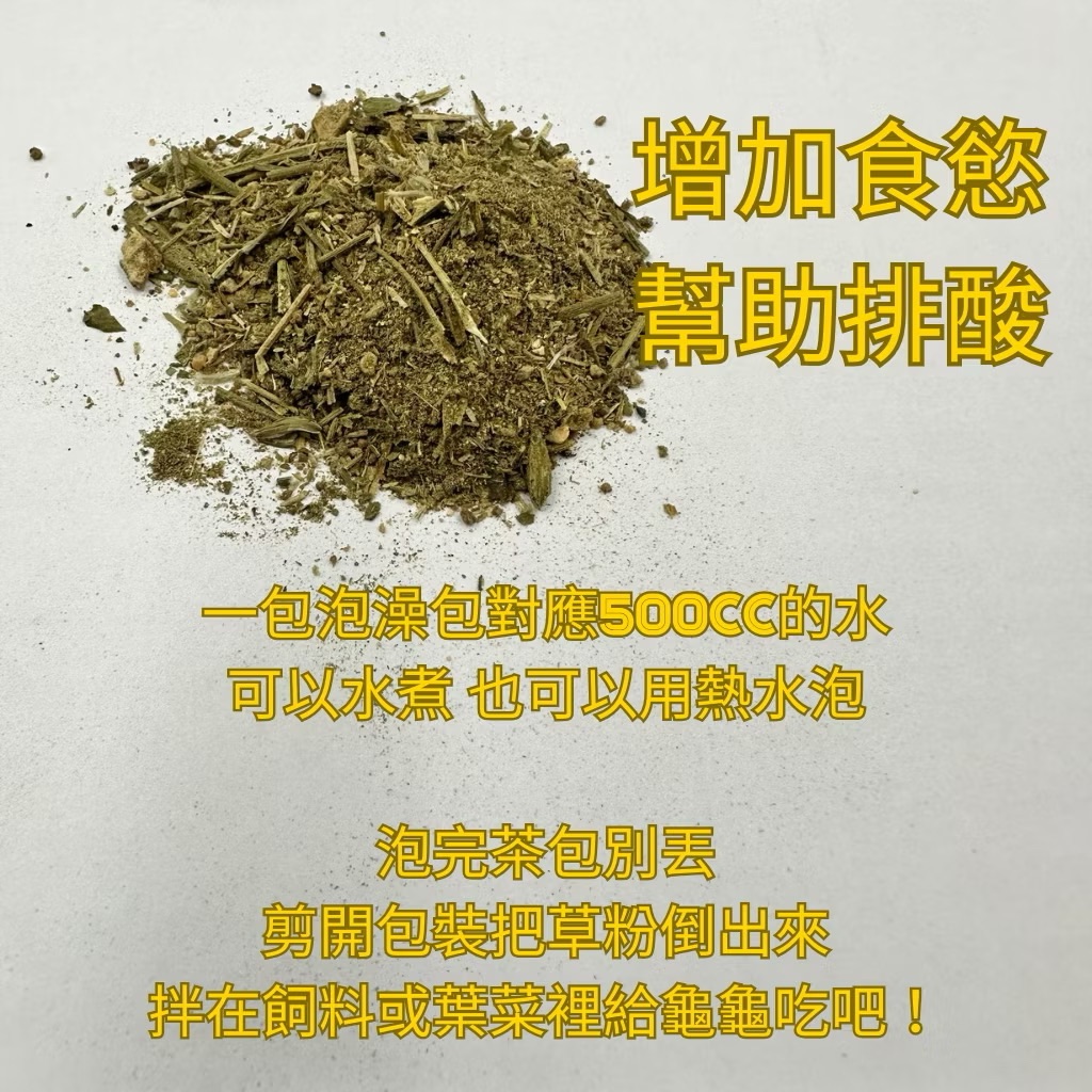 陸龜聖品