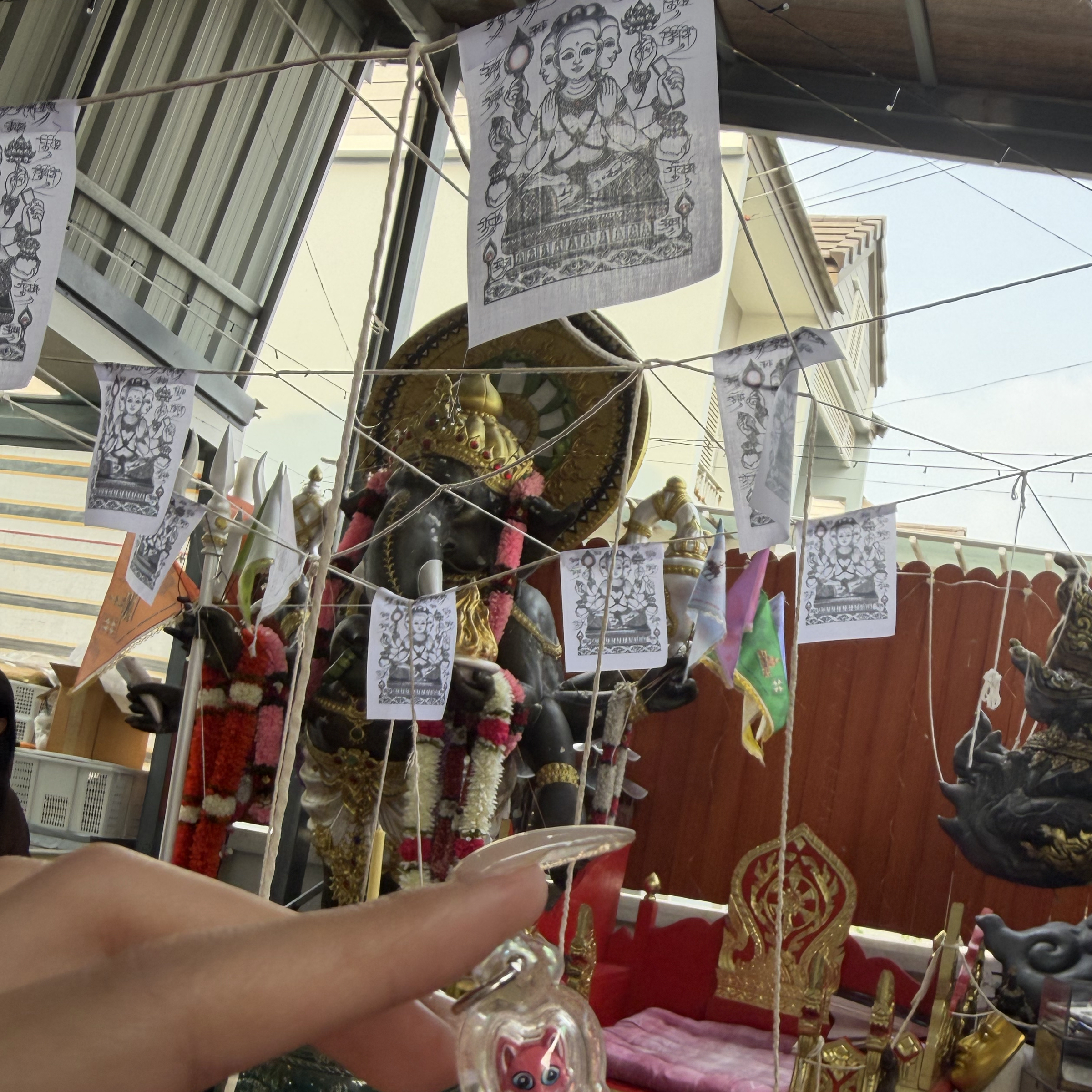 大法會版 招財靈貓