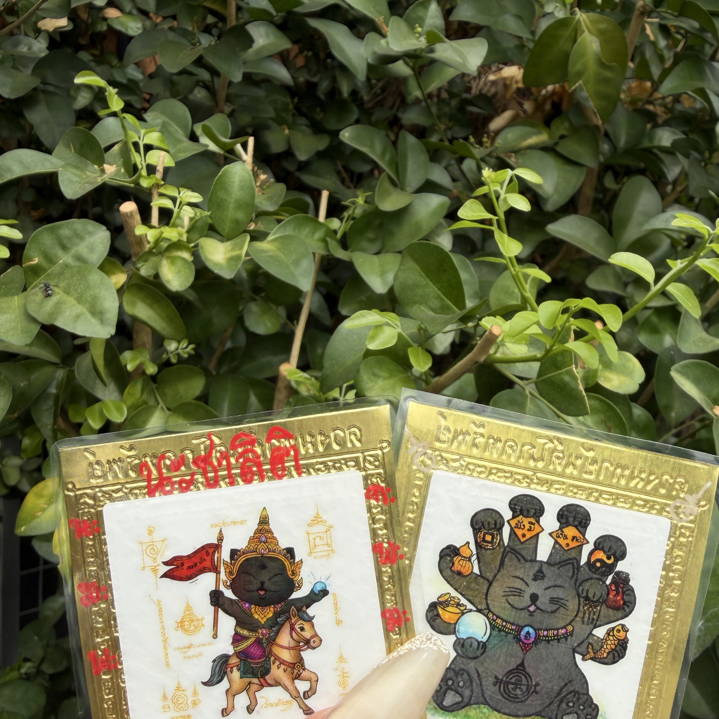 超強❤️‍🔥馬上吞金、十手秘法 「貓咪符片」