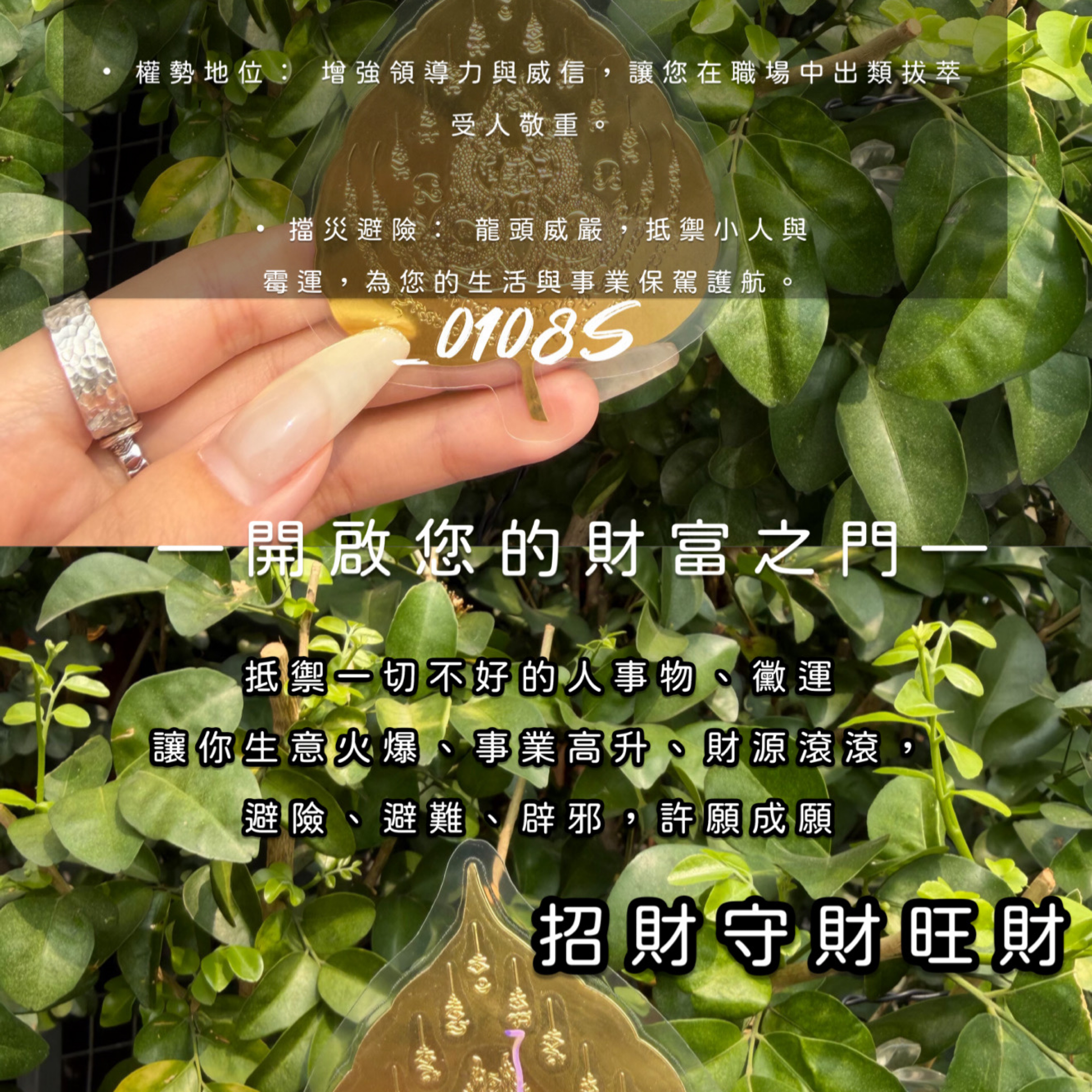 水龍 招財符片（招財 守財 旺財