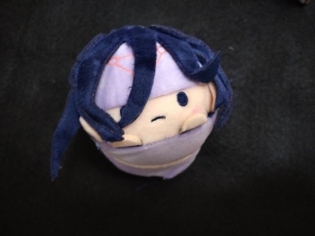 鋼之鍊金術師 恩維 趴娃