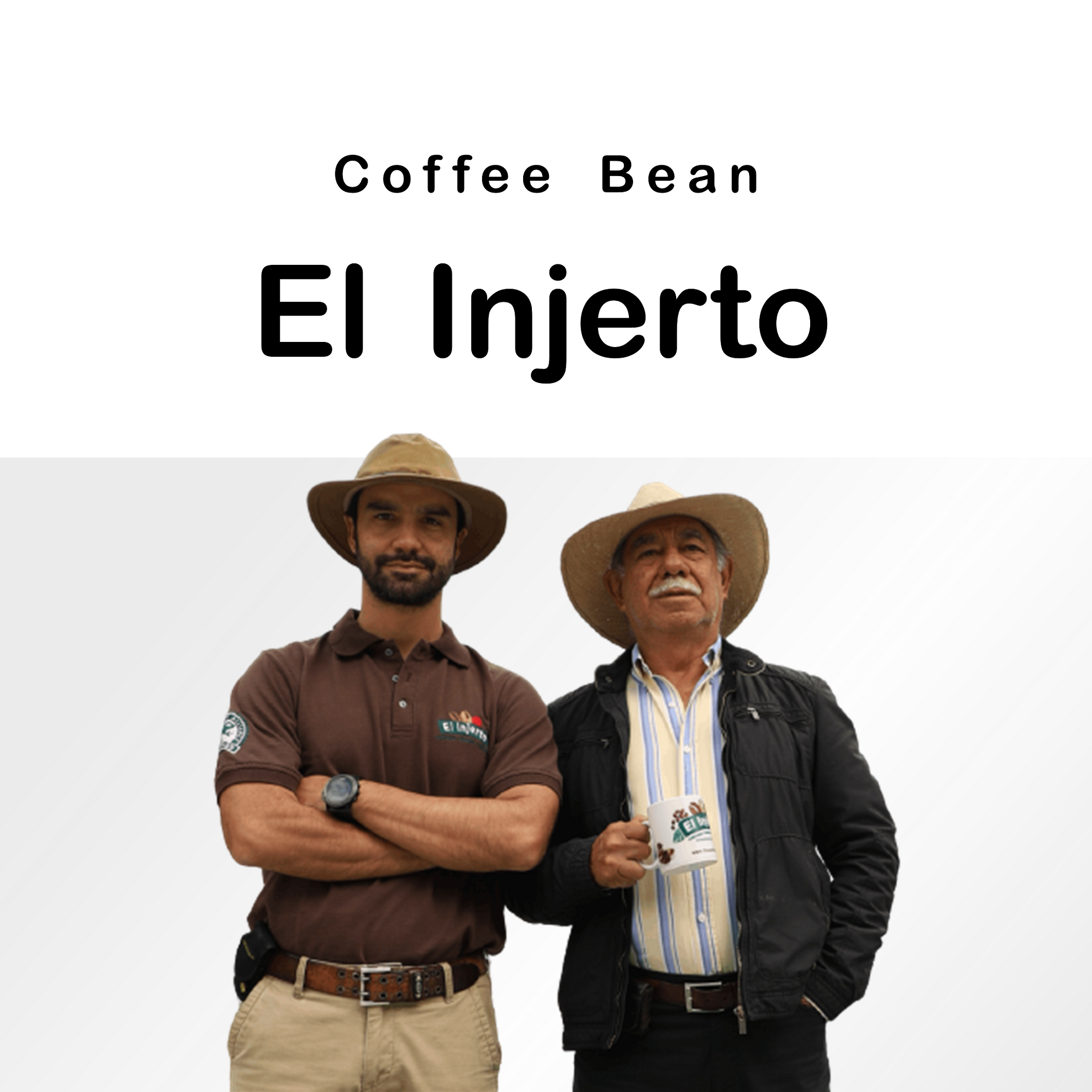 瓜地馬拉 薇薇特南果 艾茵赫特莊園 波旁 （日曬）