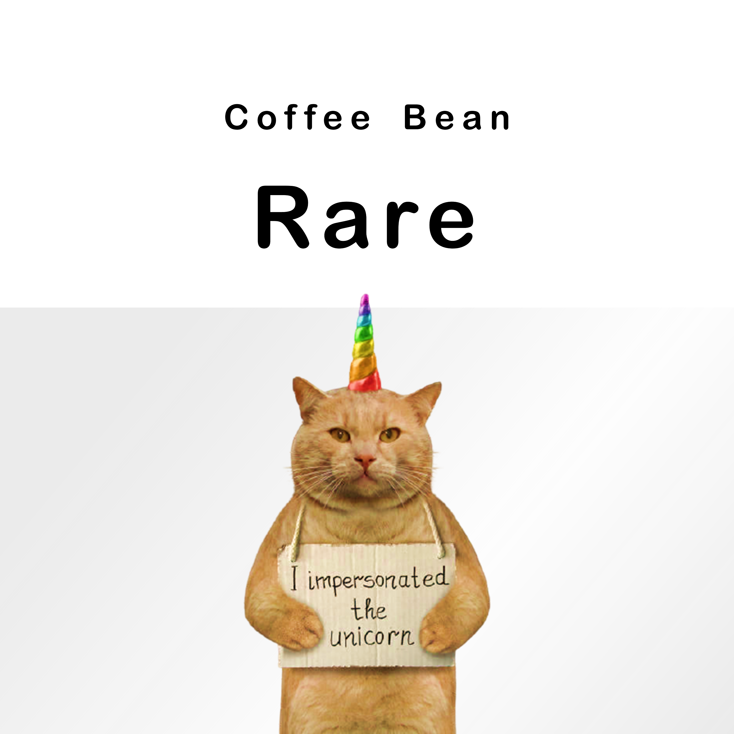 哥倫比亞 考卡 荔荔分明 釀酒酵母 （蜜處理）