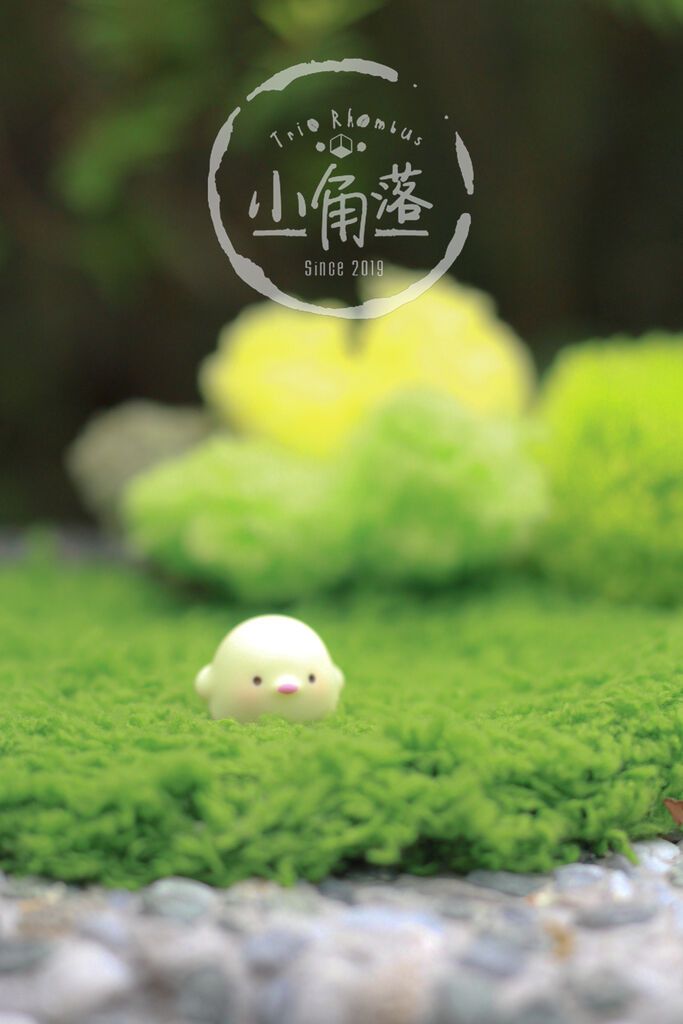 迷你草甸