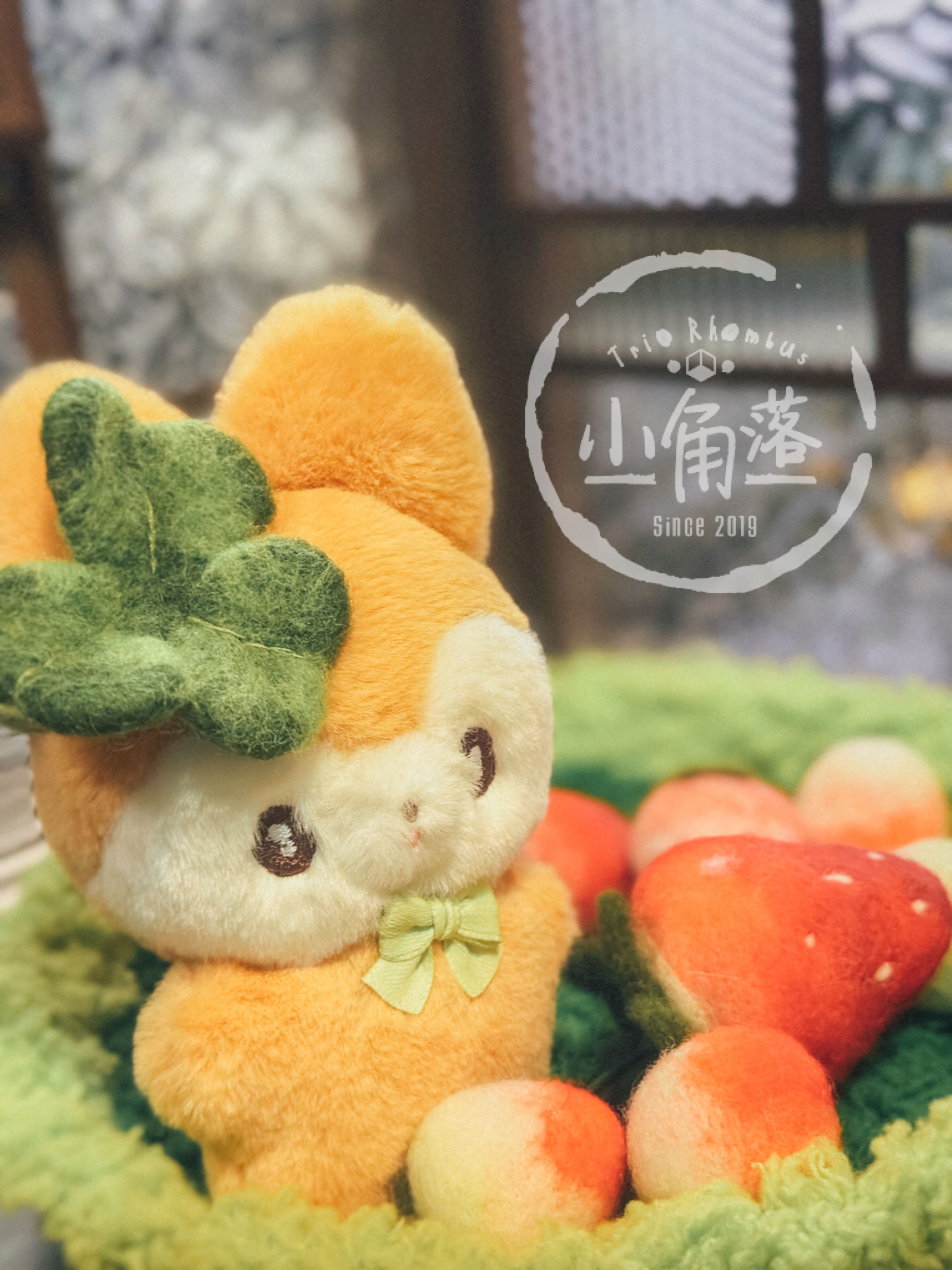 羊毛氈飾品