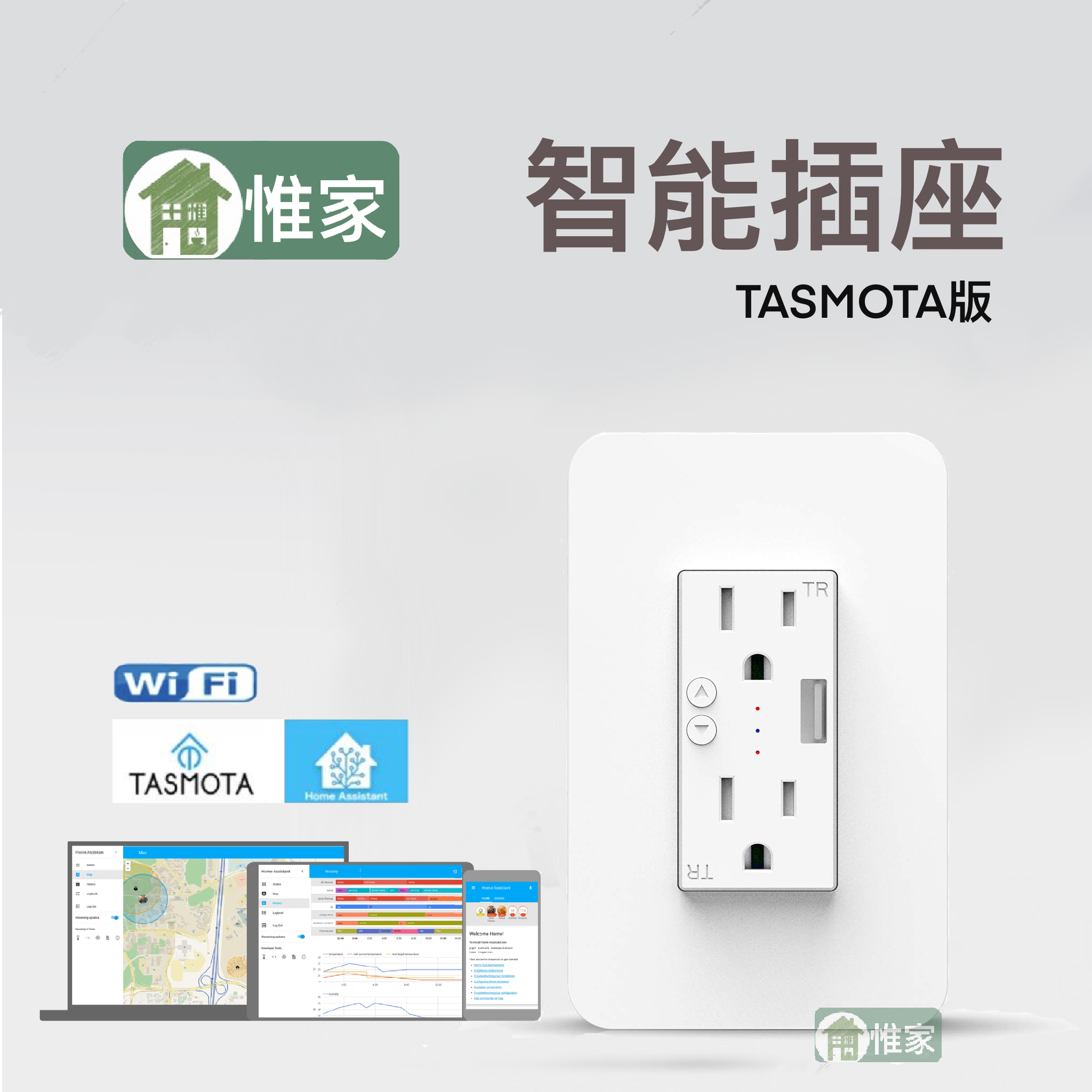 惟家智能插座ＨＡ版， 台灣118型插座， 專為Home assistant （HA） 而生的智能開關