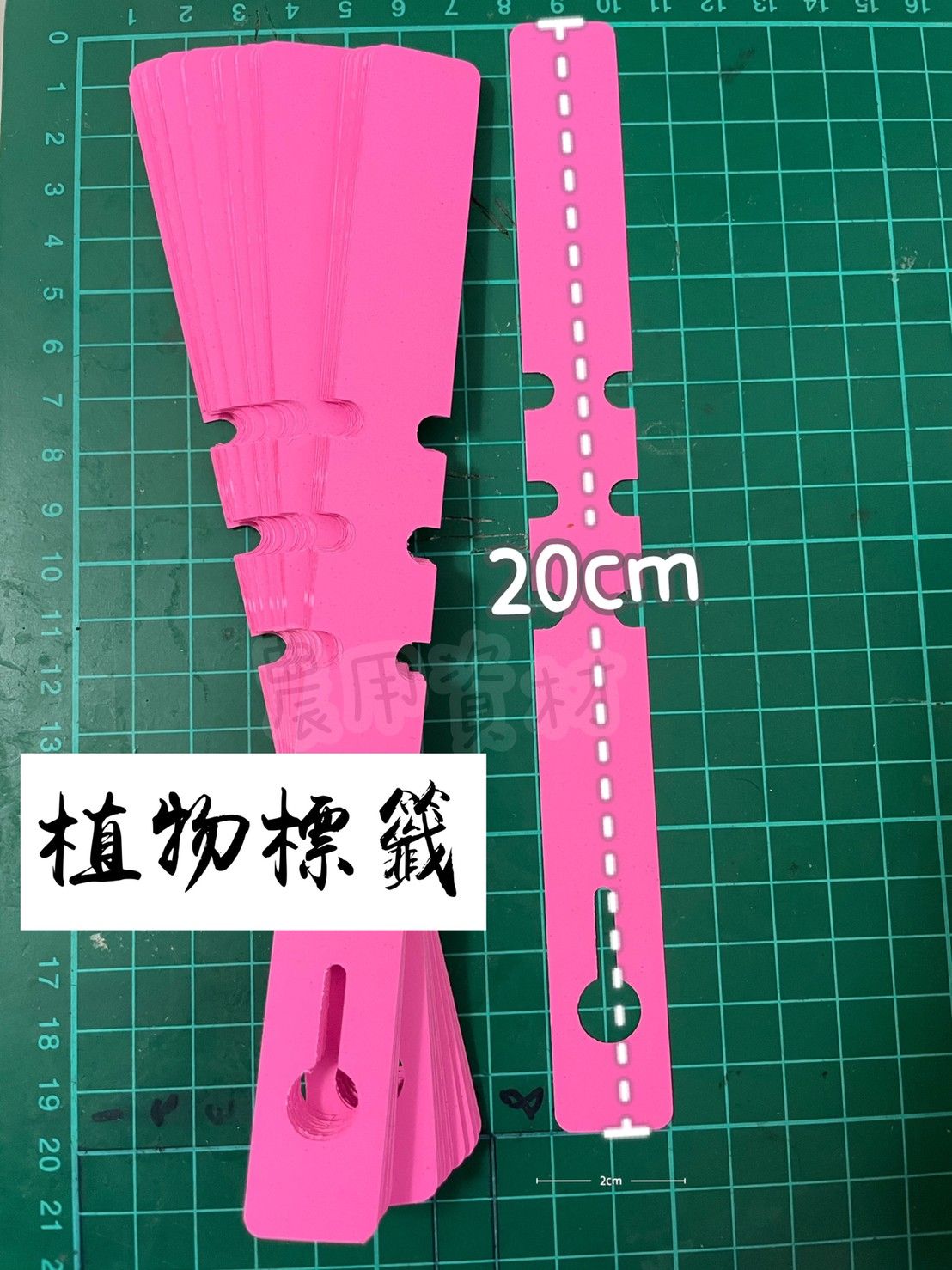 防水耐用植物標籤 50入一組