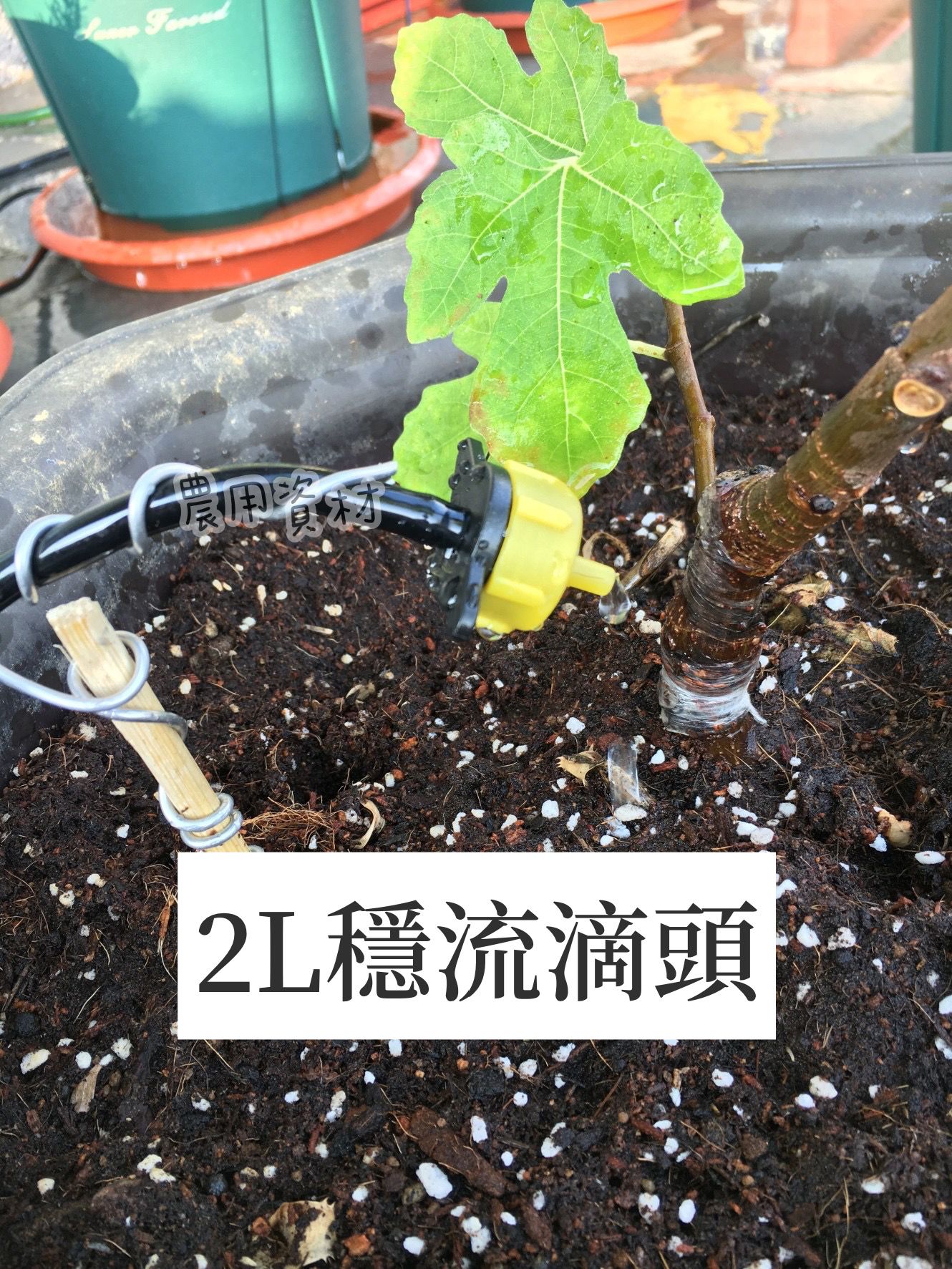 可拆式壓力補償滴頭