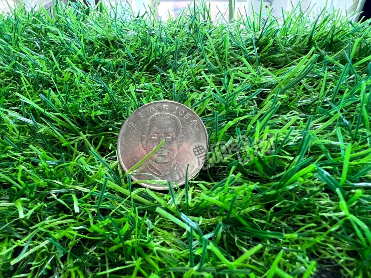 加密款超仿真柔絲春草2.5公分高