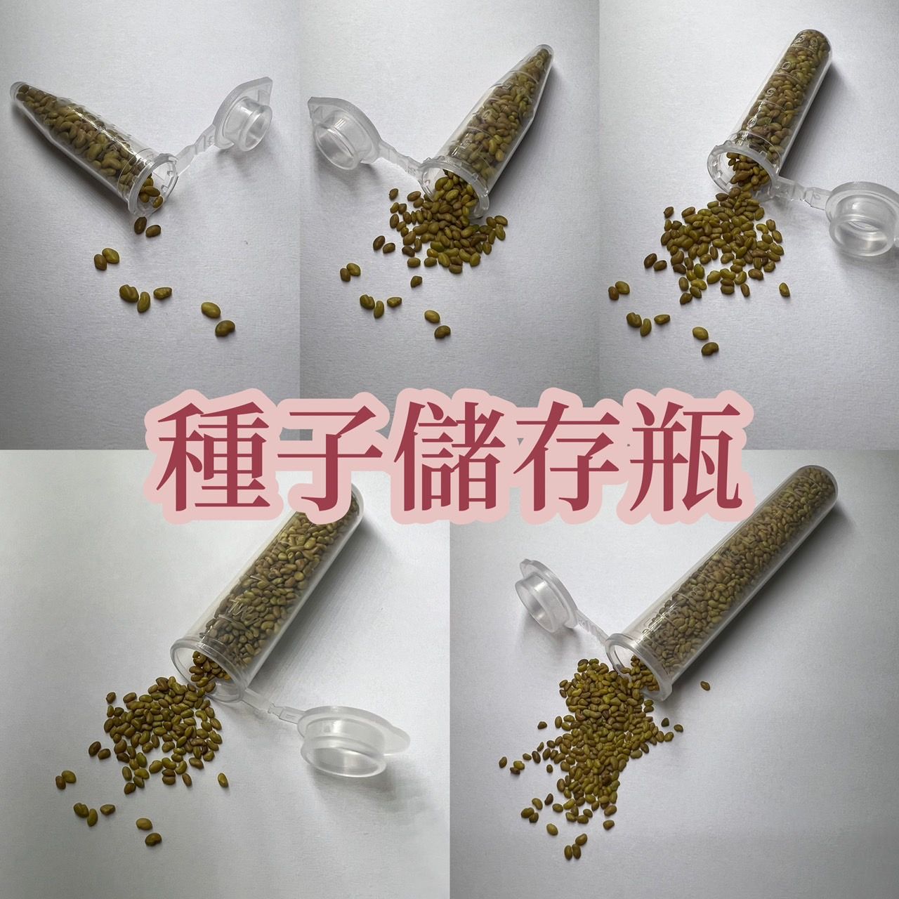 種子儲存管 種子儲存瓶 種子密封 保存 有刻度 PP材質