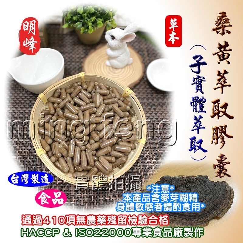 【喬瑟芬的秘密】明峰中藥行 桑黃萃取膠囊 桑癀 桑耳 桑臣 補充包-1兩裝