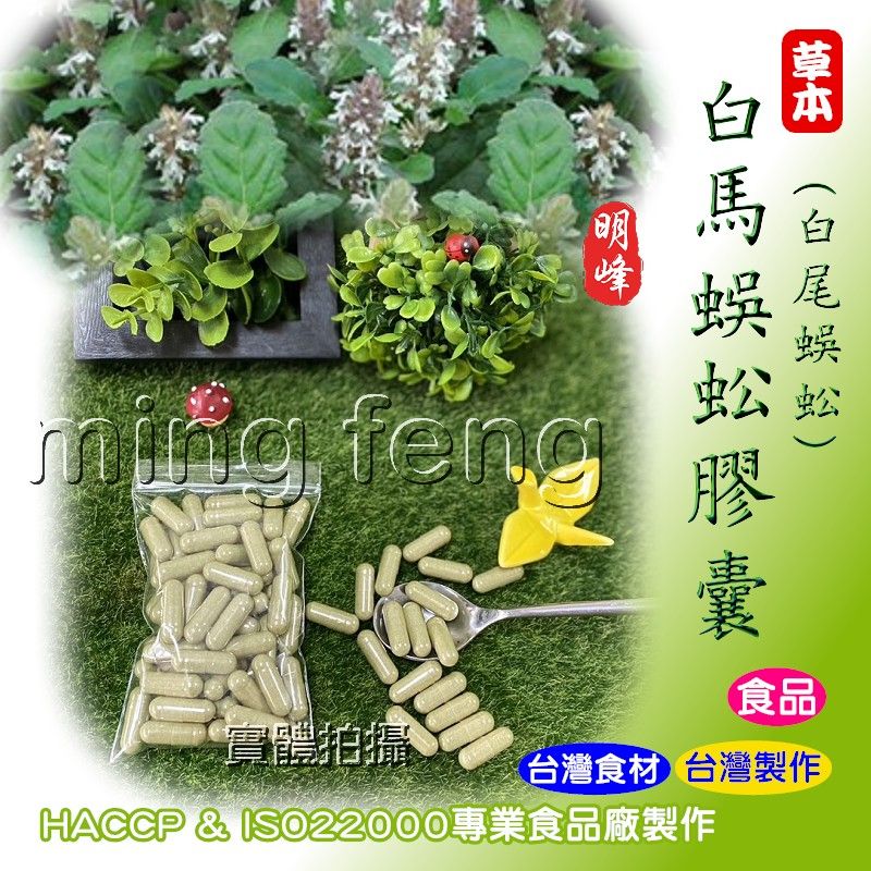 【喬瑟芬的秘密】明峰中藥行 白馬蜈蚣膠囊 白尾蜈蚣 補充包-100粒裝