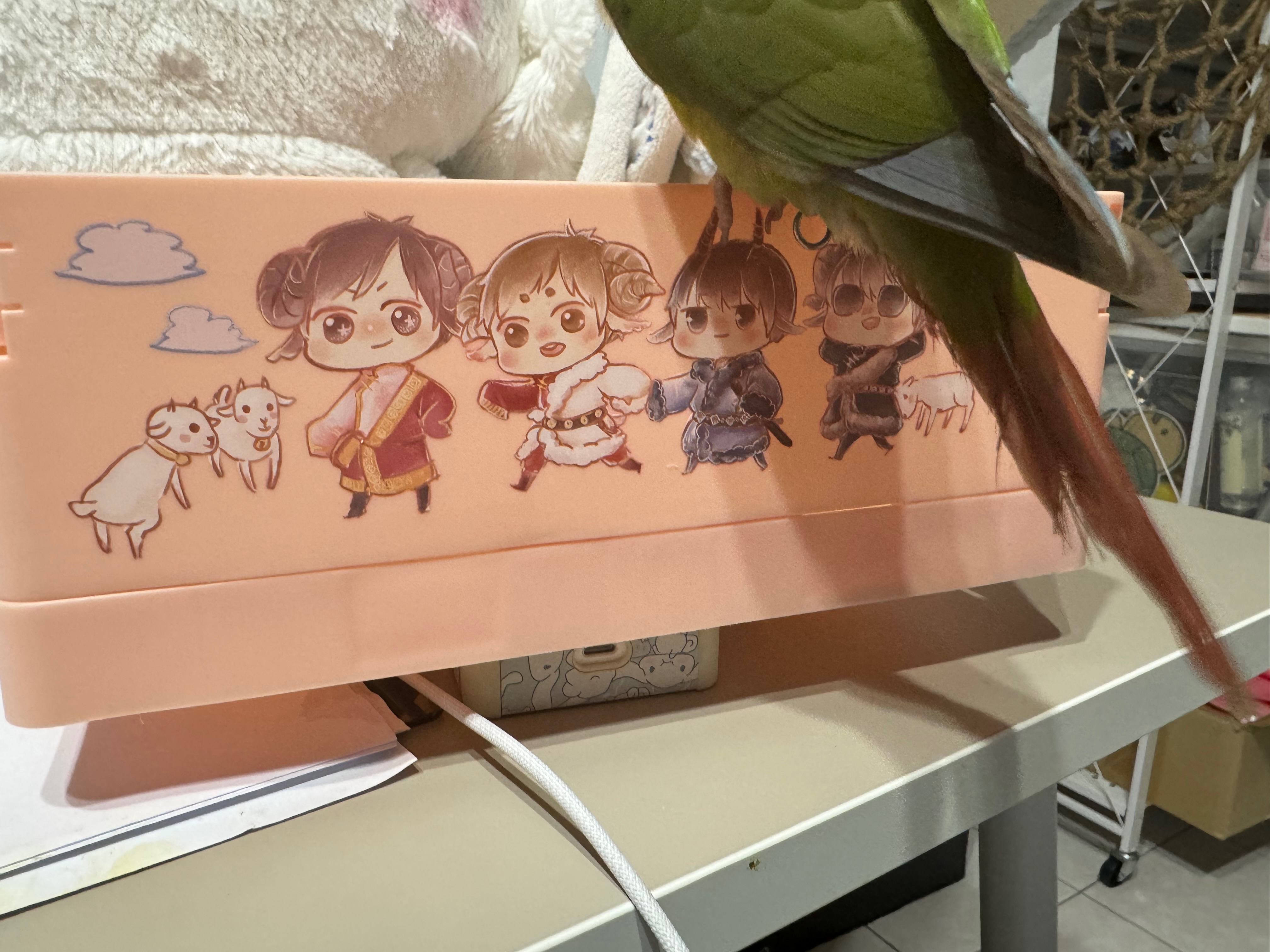 放飛自我的盜墓羊寶大號折疊盒（偷渡鳥鳥）