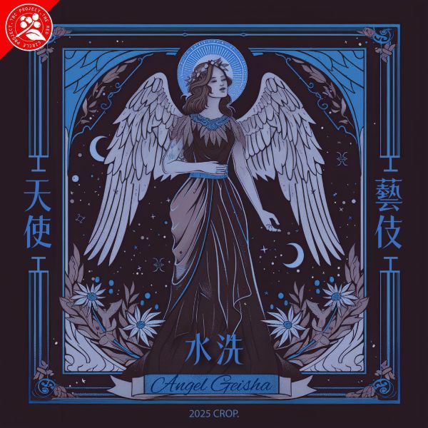 水洗天使藝伎 / 耶加雪菲 / 紅圈計畫 / 天使處理站 / TOP G1 / 果丁丁水洗