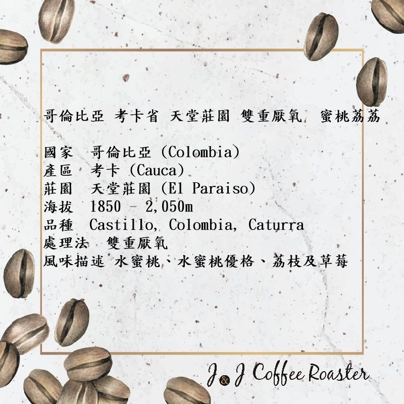 哥倫比亞 考卡省 天堂莊園 雙重厭氧 蜜桃荔荔