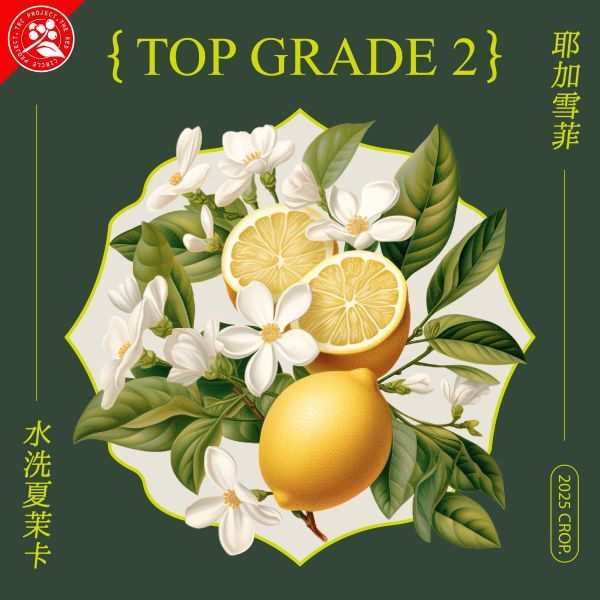 水洗夏茉卡 / 水洗耶加雪菲 / 紅圈計畫 / TOP G2 / 頂級 G2 / 74110