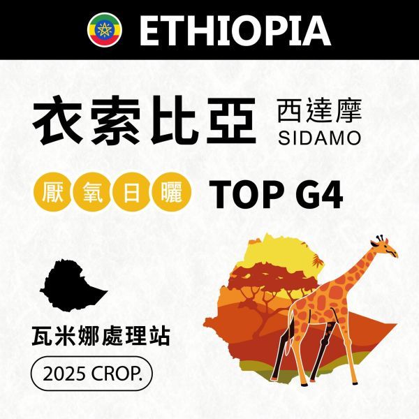 瓦米娜處理站 / 西達摩 / 厭氧日曬 / TOP G4