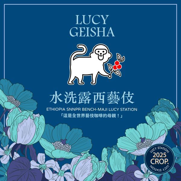 水洗露西藝伎 / 衣索比亞 / 班奇馬吉 / 露西處理站 / 頂級 G1 藝伎