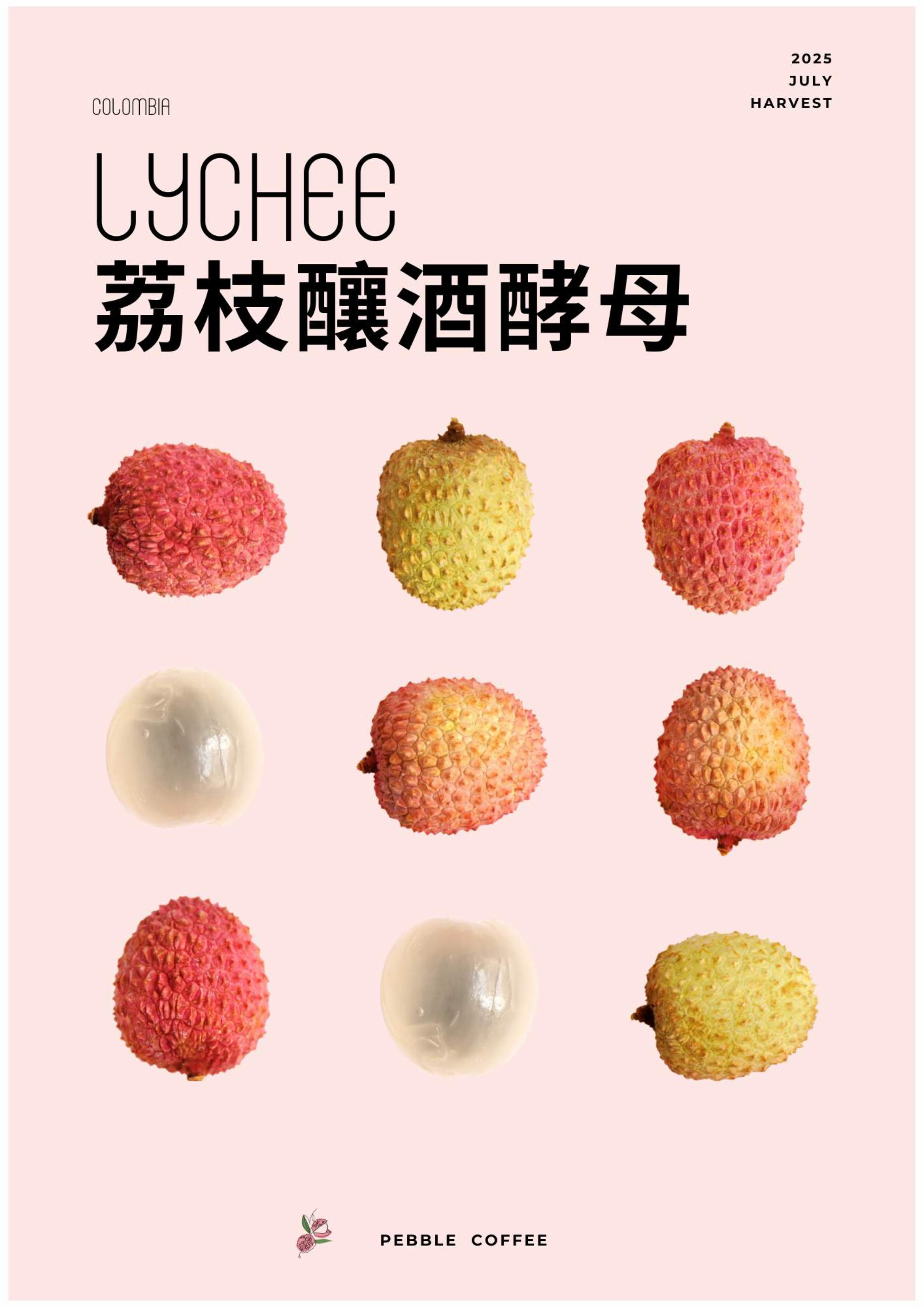 哥倫比亞 金迪歐 卡洛斯·阿爾席拉 荔枝釀酒酵母 蜜處理