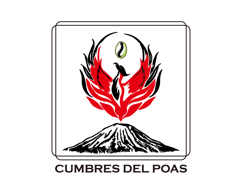 哥斯大黎加 中部山谷 火鳳凰莊園 黑靈魂 日曬