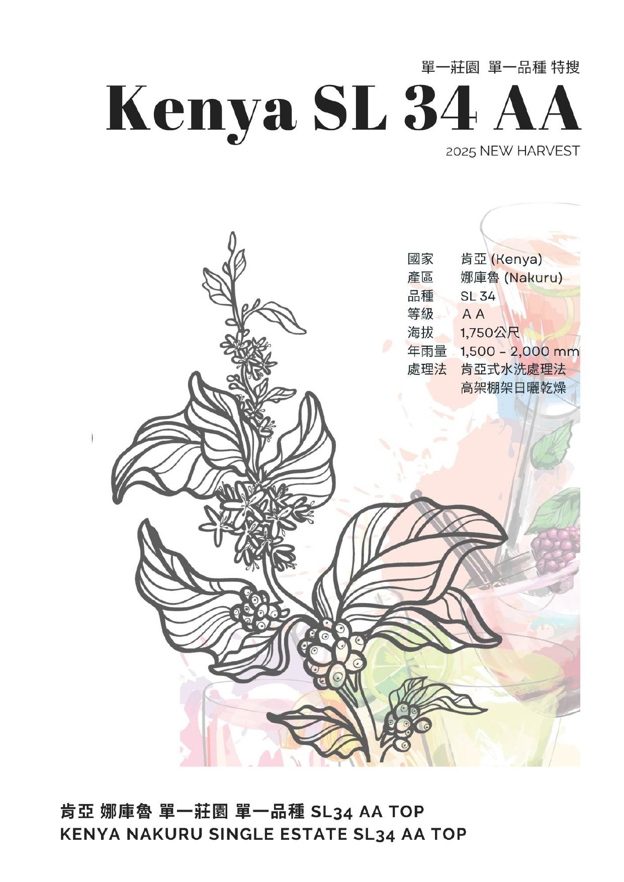 肯亞 娜庫魯 單一莊園 單一品種 SL34 AA TOP 淺中烘