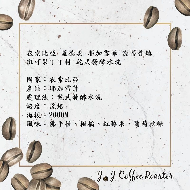 衣索比亞 蓋德奧 耶加雪菲 潔蒂普鎮 班可果丁丁村 乾式發酵水洗