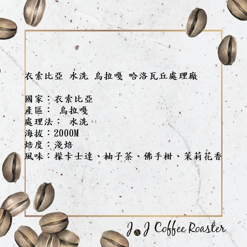 衣索比亞 水洗 烏拉嘎 哈洛瓦丘處理廠