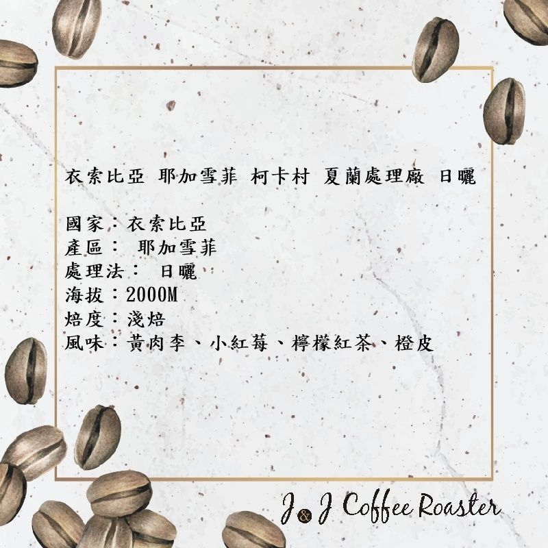 衣索比亞 蓋德奧 耶加雪菲鎮 柯卡村 夏蘭處理廠（ 2025 TOH 日曬組 第7名）