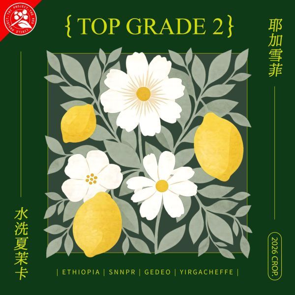 水洗夏茉卡 / 水洗耶加雪菲 / 紅圈計畫 / TOP G2 / 頂級 G2 / 淺焙