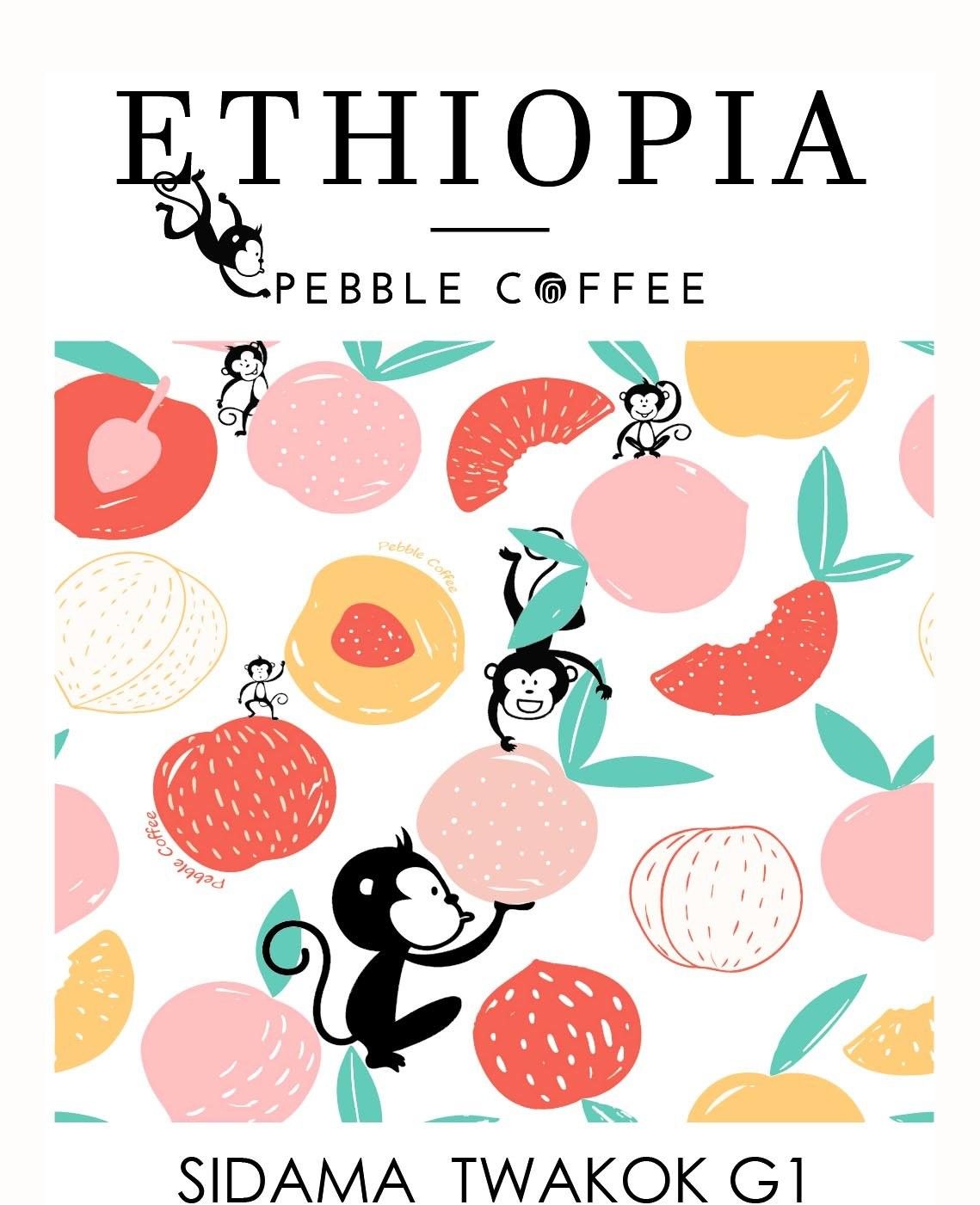 衣索比亞 日曬 西達摩 桃子甜心/桃可可 G1 25/03 批次