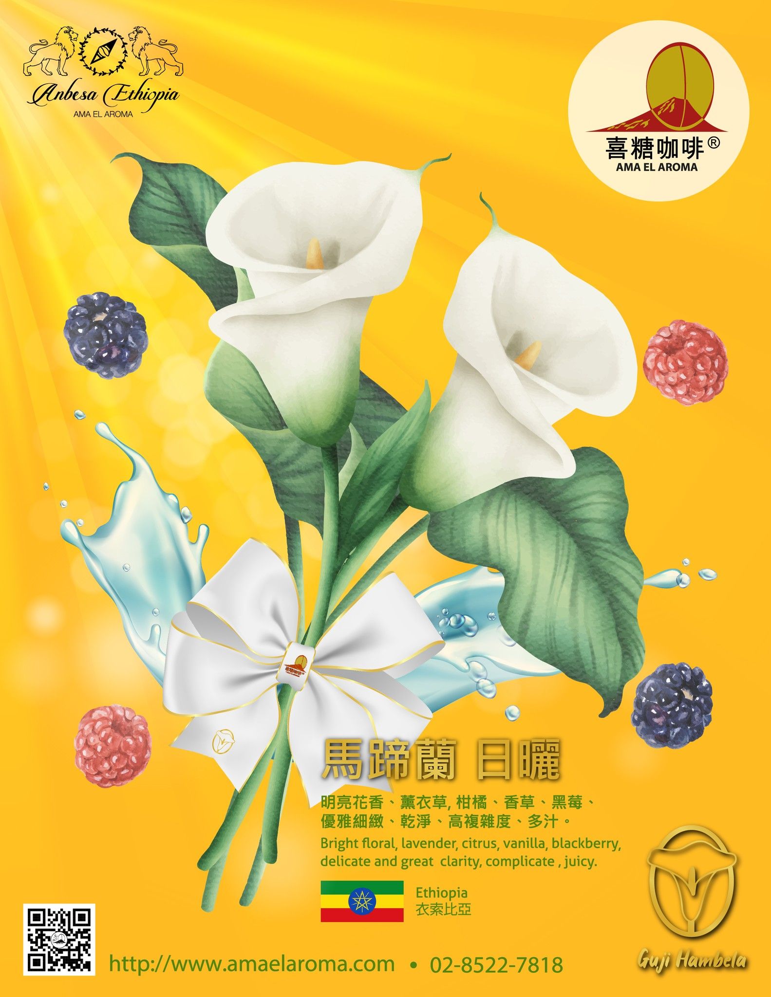 馬蹄蘭
