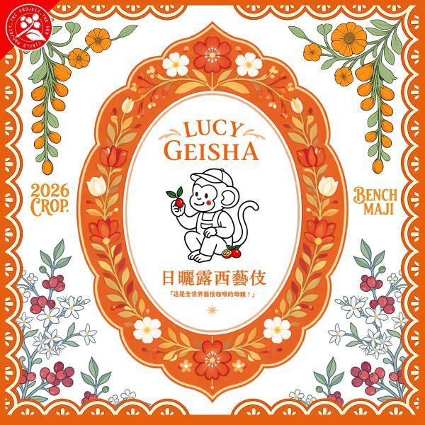 2026 日曬露西藝伎 /  衣索比亞 / 班奇馬吉 / 露西處理站 / 頂級 G1 藝伎
