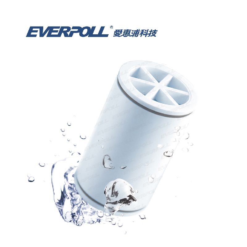 EVERPOLL  MK-809 微分子沐浴器專用濾芯