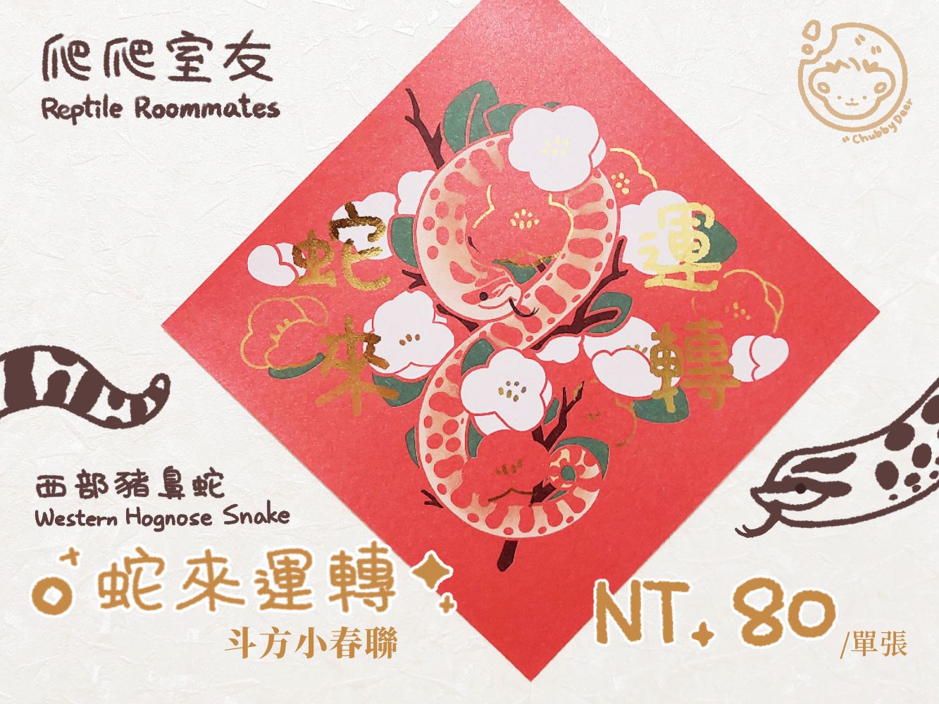 【爬爬室友】𝟐𝟎𝟐𝟓乙巳年🐍豬鼻蛇來運轉斗方