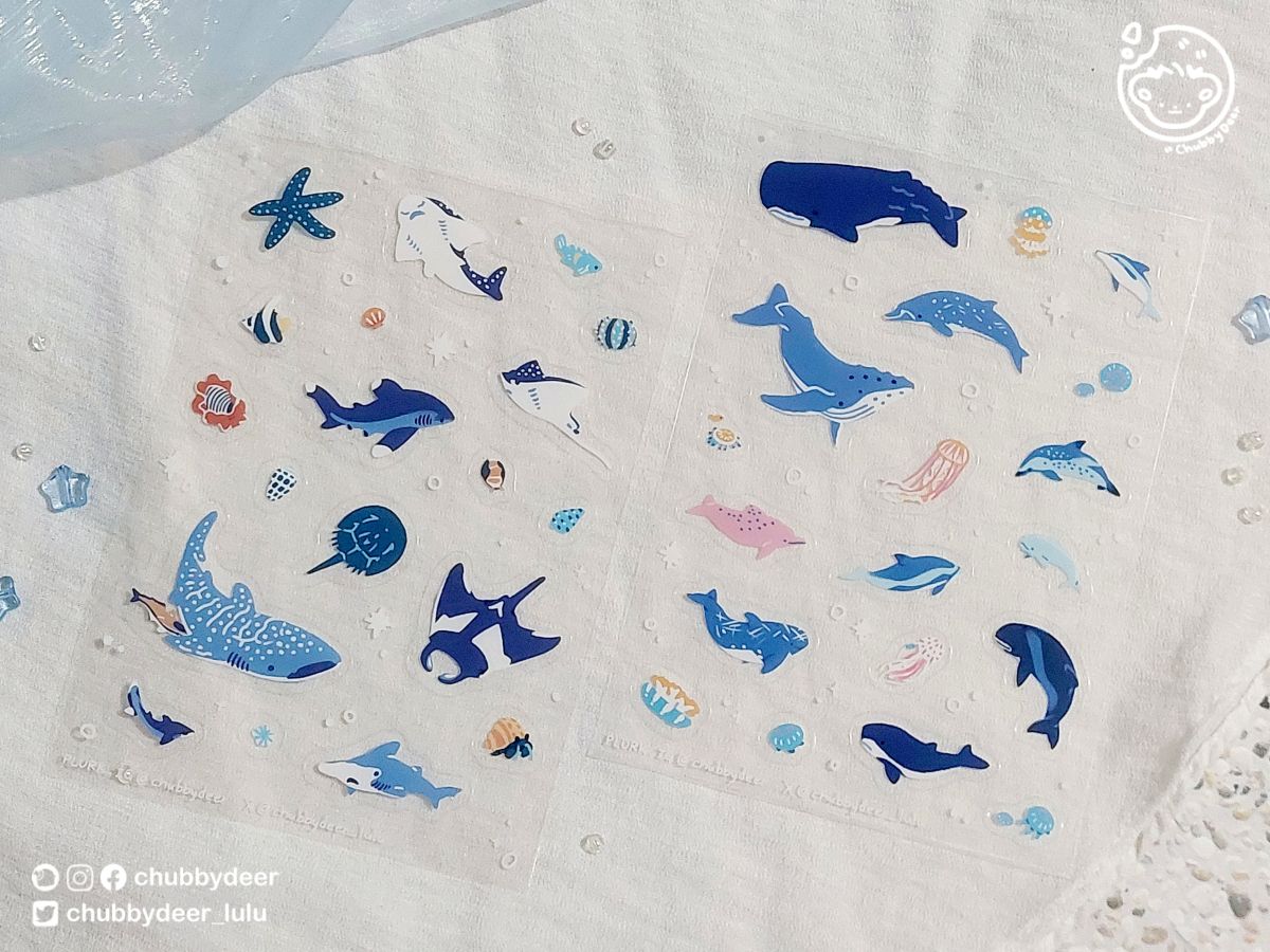 【原生動物】台灣的海洋生物🐬透明圖鑑貼紙
